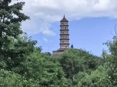 -北坞公园