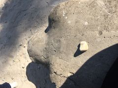 -佛山祈福仙湖酒店