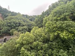 -巴倒烫陆派火锅山庄(南山总店)