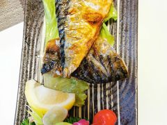 -樱の千渡日式料理·铁板烧•烧鸟(金盛田广场店)