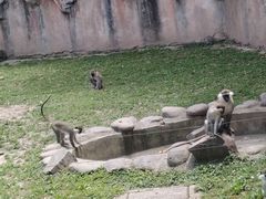 -上海野生动物园