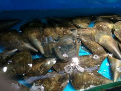 -学府海鲜批发市场