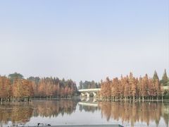 -白鹭湾湿地公园