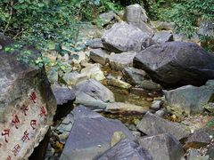 -鼎湖山风景区