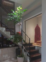 -香秀空间科技抗衰·美容中心