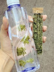 -Oasis Beauty水磨坊科技美肤中心