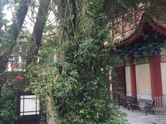 -宝莲禅寺