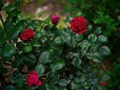 -苏州河梦清园环保主题公园