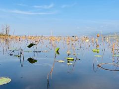 -西昌邛海湿地