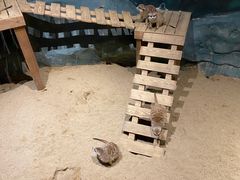 -天津zoonly动物主题公园