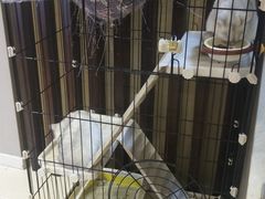 -津菜宋记老房子(鼓楼店)