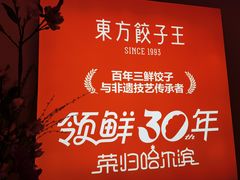 -东方饺子王(新阳路店)