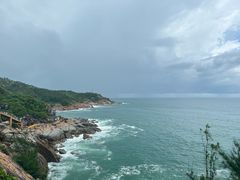 -广东惠东海龟国家级自然保护区