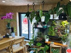 -Rabbit Cafe私房西餐甜点咖啡(栖霞路店)