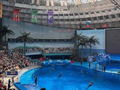 -海合安成都极地海洋公园