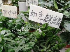 -秦美花卉(天朗·莱茵小城2期店)