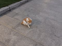 -石炮台公园