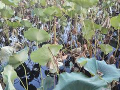 -小王府(什刹海店)