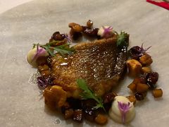 东海黄鱼，花胶，松露白酱，蒲菜-三嚥阁 La Villa Restaurant