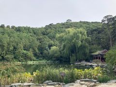 -香山公园