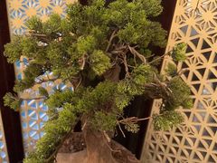 -大妙火锅·非物质文化遗产(东湖公园店)