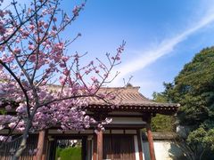 -西安青龙寺遗址景区