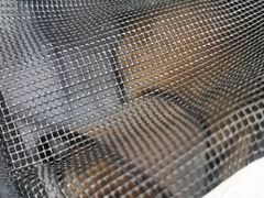-瑞鹏宠物医院·微创内窥镜·骨外科·牙科(翠竹分院)