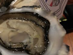 -普朗姆生蚝吧(原建国路店)