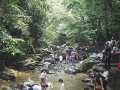 景点-鼎湖山风景区