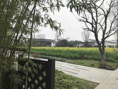 -田园东方蜜桃村的田野营地