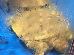 -保定会馆(秀兰店)