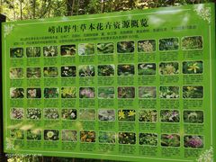 -崂山九水游览区