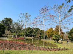 -中国科学院西双版纳热带植物园