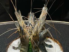 -红鼎豆捞·非遗鲍皇汤火锅(宝丰路店)