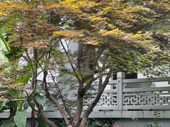 -杭州香格里拉饭店