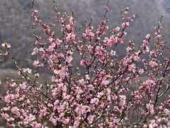 -灵山
