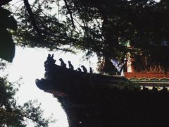 -洛阳白马寺