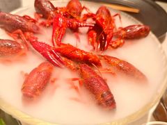 -红盔甲·小龙虾(天钥桥店)