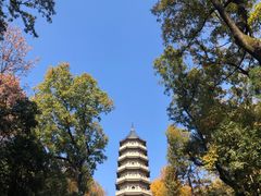 -灵谷景区