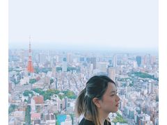-六本木新城展望台(东京城市景观)