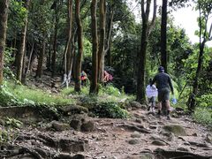 -火炉山森林公园