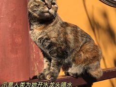 -龙华寺