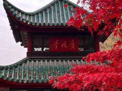 -岳麓山风景名胜区