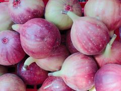 -武汉世外桃源农庄