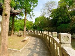 -汇龙潭