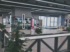 -金吉鸟健身游泳
