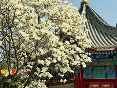 -西安市广仁寺
