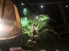 -大头椰·椰子鸡火锅(南宁万象城店)