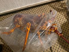 -金唐海鲜酒家