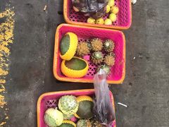 -三亚新鸿港水果一级批发市场